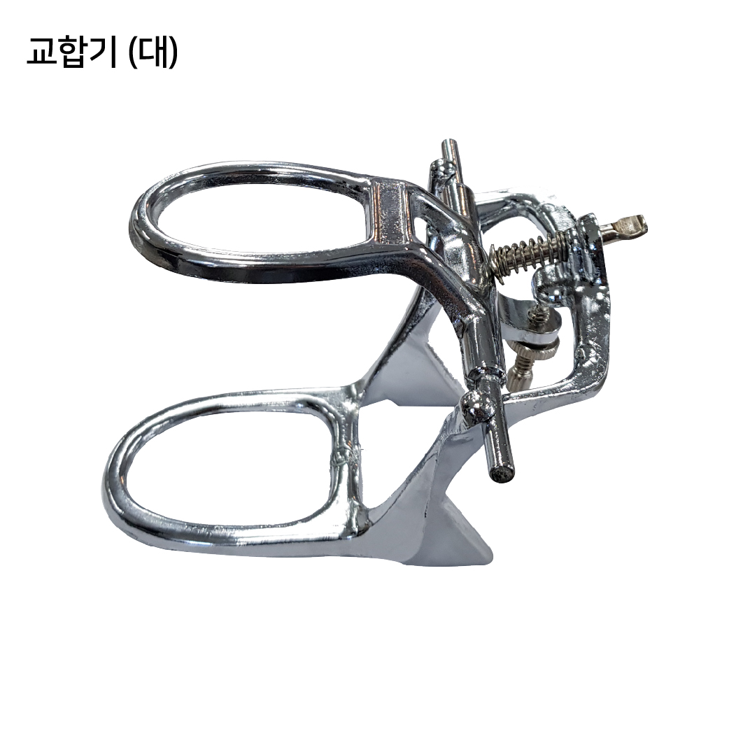 정석 교합기 [소/대]