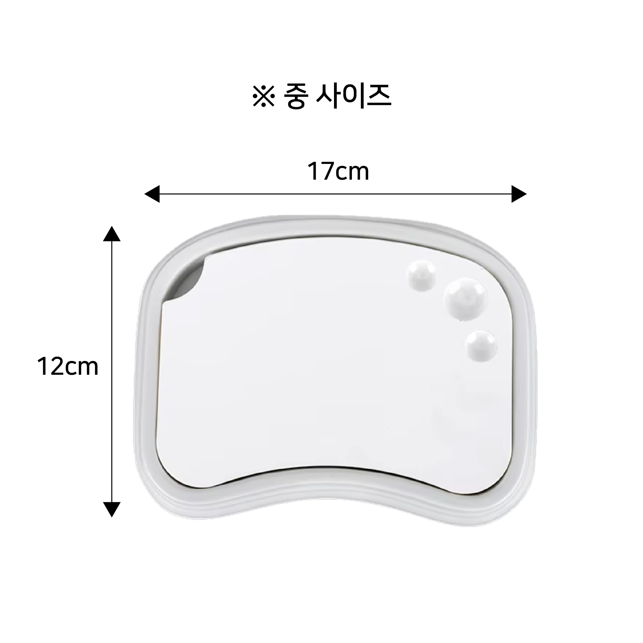 바이팔 포세린 습식 팔레트 (BUYPAL Porcelain Wet Palette)